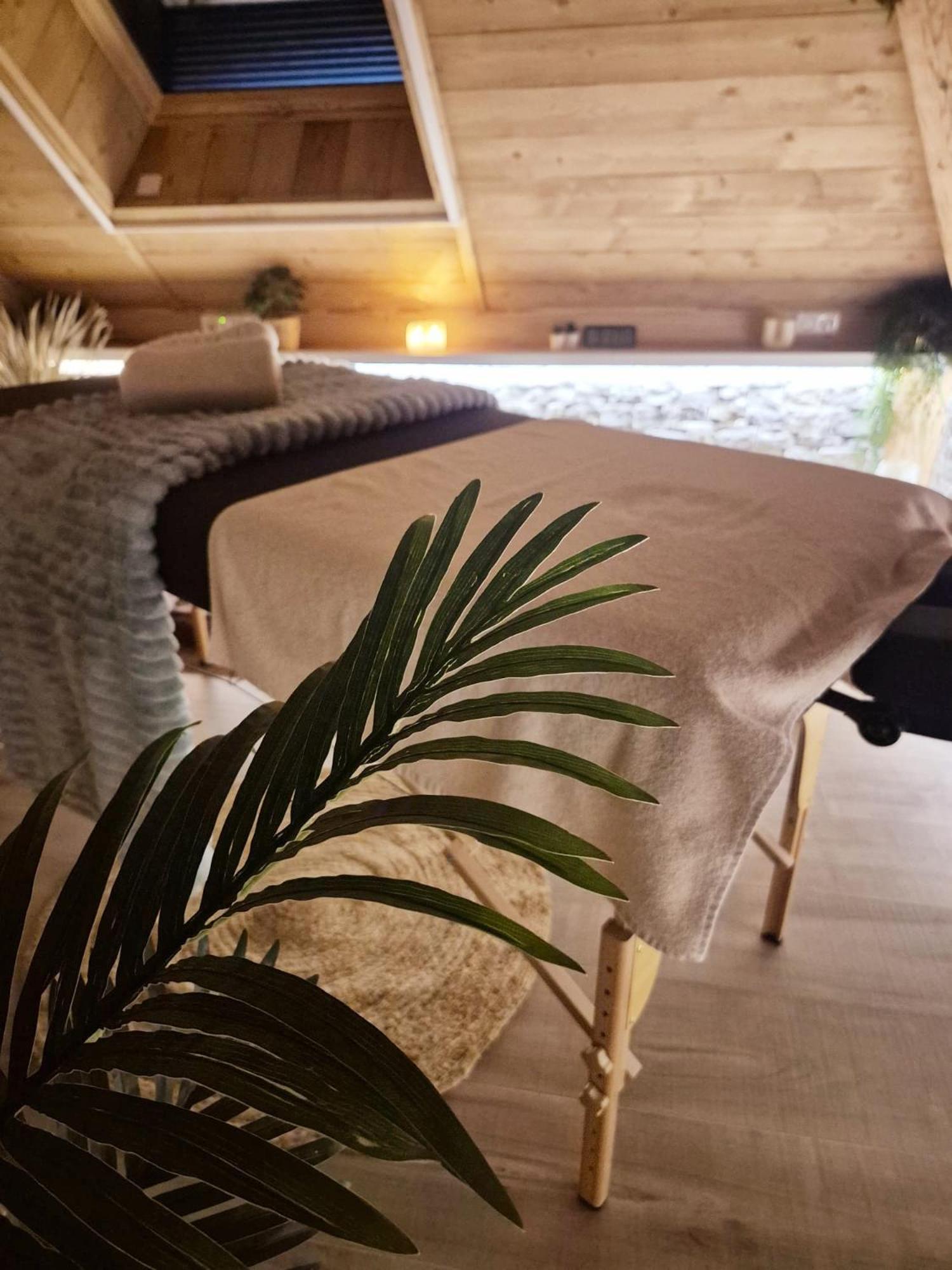 Del Vino Bar A Vin & Guitares Appartement Sauna Terrasse Garage 奥尔尚普韦内 外观 照片
